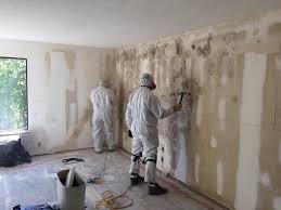 Reliable Elwood, IL Mold Remediation Solutions